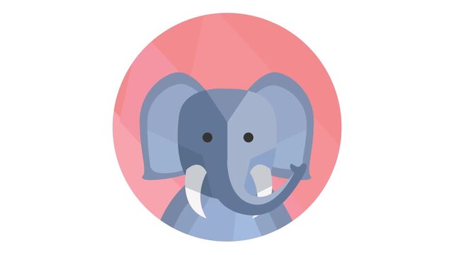 Cute cartoon elephant head icon in pink circle flat vector animation