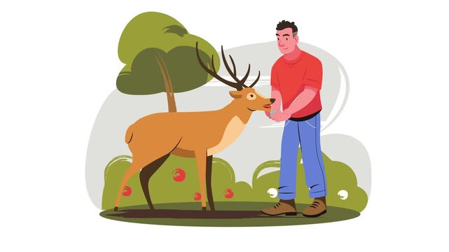 Man feeding deer in park with trees, flat vector animated illustration