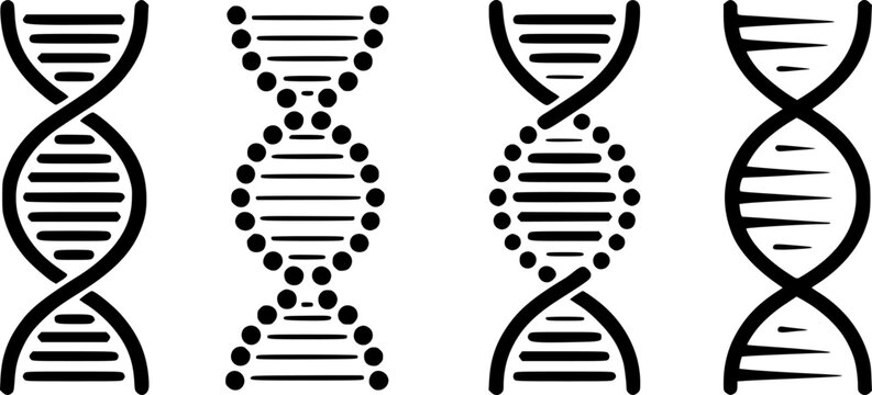 Stylized black D N A helix a white background representing genetic science biology