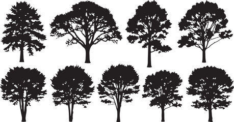 Fototapeta premium Collection of tree silhouettes in various shapes and sizes for design and icon use