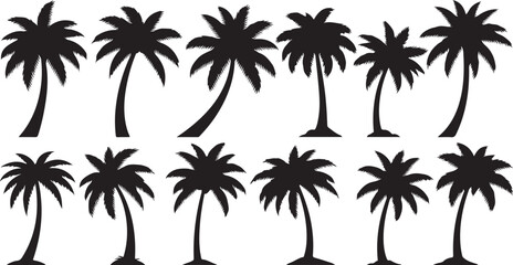 Fototapeta premium Collection of Various Palm Tree Silhouettes on White Background