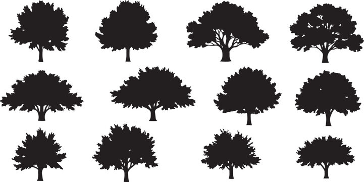 Collection of tree silhouettes in various shapes and sizes for design and icon use