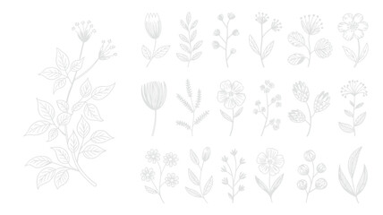 Fototapeta premium A collection of delicately drawn floral illustrations in grayscale showcasing various wildflowers and botanical elements on a white background high quality professional detailed modern elegant stylish