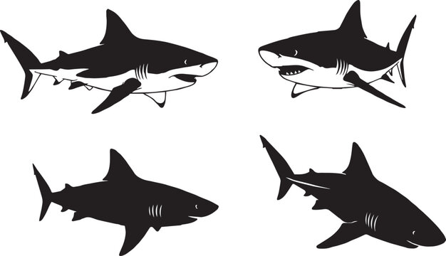 Identify Great White, Tiger and Hammerhead Sharks"