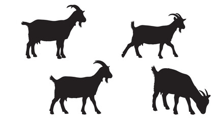 Obraz premium : Raise Dairy and Meat Goats for Profit