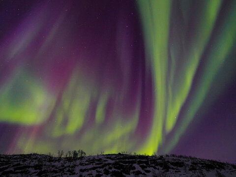 Aurora Borealis Northern Lights over snowy hill copy space