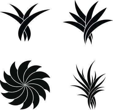 Black succulent and agave plant silhouettes collection on white background