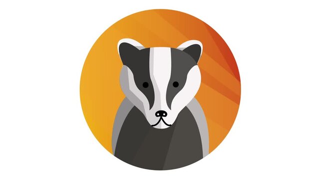Animated badger head vector icon in orange circular badge illustration