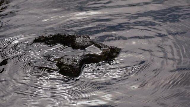 Wave and ripples on water surface in slow motion
