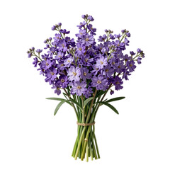 Obraz premium Elegant bouquet of vibrant purple flowers tied together on a white background