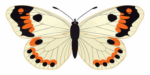 A vibrant illustration of a butterfly with orange and black markings © Rathindranath