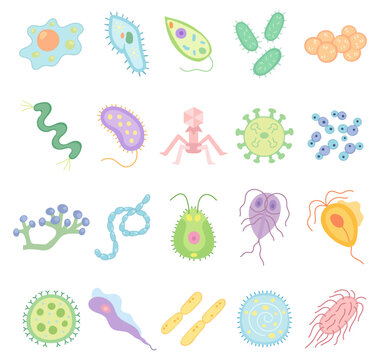 Unicellular microorganism set in scandinavian style featuring amoeba paramecium euglena bacteria virus yeast mold cyanobacteria protist parasite microbe laboratory study