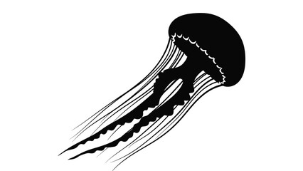 A striking black jellyfish illustration against a white background silhouette © Md