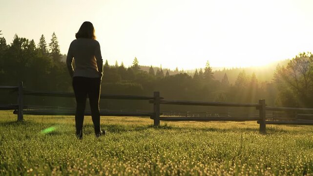 Figure in smart-casual walks dewy meadow at sunrise by rustic fence, forest, gazing thoughtfully. Concept of mindful leadership and sustainable growth