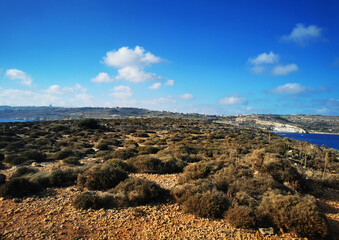 Obraz premium Coastal hills of Malta extending toward the open blue sea under clear sky. The image conveys the concept of natural landscape and Mediterranean coastal terrain.
