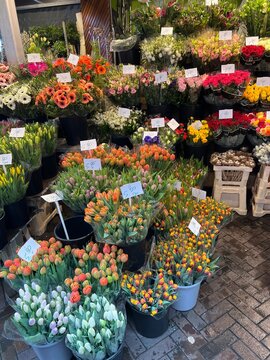 Bunter Blumenstand auf dem Wochenmarkt in Enschede