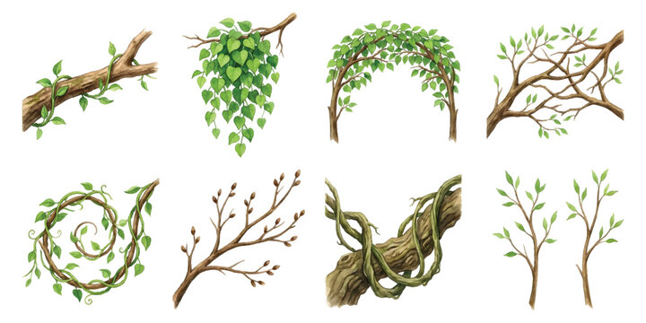 Watercolor set of tree branch vines ivy and creeping plants with spring foliage leaves and buds isolated on transparent background