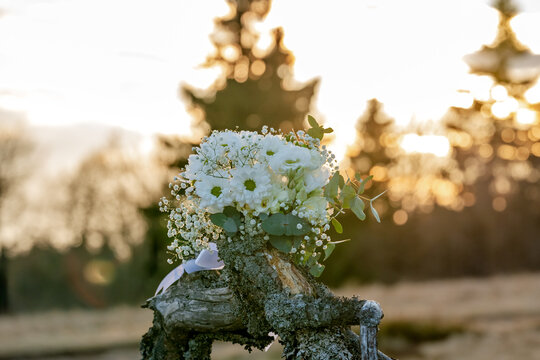 Bridal bouquet on rustic fence at golden hour sunset