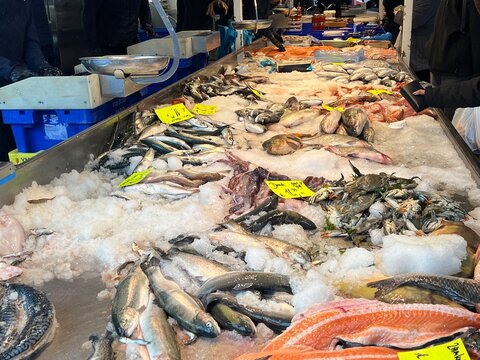 fresh fish at the market