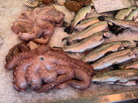 fish on ice