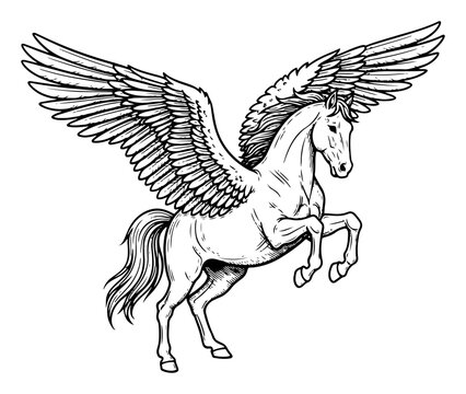 Hand drawn pegasus flying horse line art