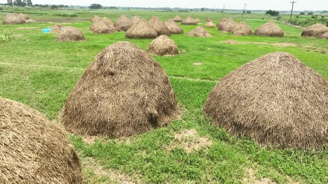 Traditional farming landscape showing haystacks in open rural field Aerial view