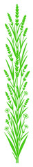 Fototapeta premium Vertical green lavender floral border with delicate wildflowers and foliage creating a fresh decorative divider for stationery packaging and organic design projects.