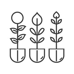 Fototapeta premium Three potted plant illustrations showing variations in leaves and blooms