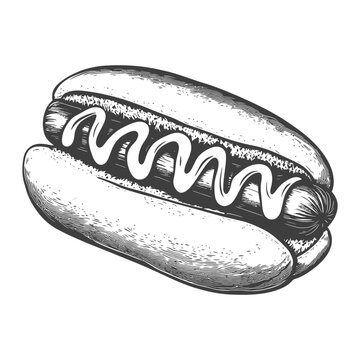 A detailed illustration of a hotdog with mustard on top
