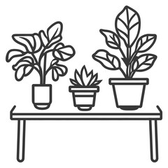 Obraz premium Three potted house plants arranged on a simple modern shelf