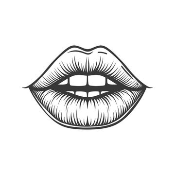 Detailed illustration displaying upper and lower lips with teeth