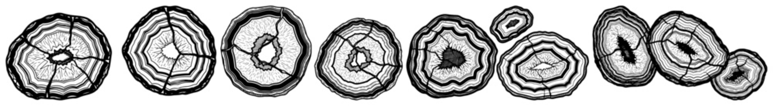 Set of various hand drawn organic geode agate slices and mineral cross sections in etching style