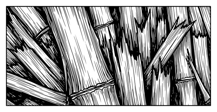 Artistic vintage engraving of a textured background composed of broken bamboo stalks and wooden splinters