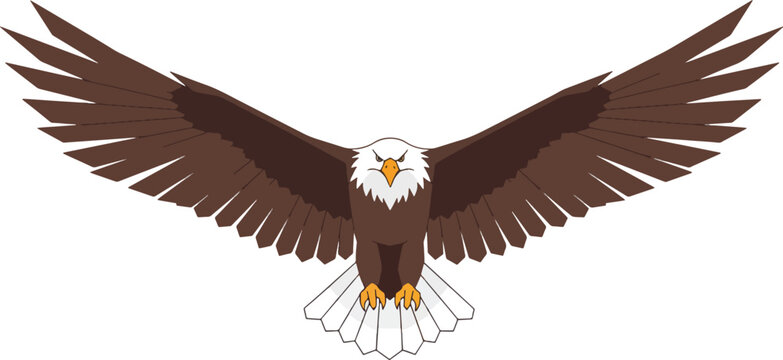Majestic bald eagle flying with wide spread wings and sharp talons front view powerful predator bird symbol of freedom and strength vector graphics.