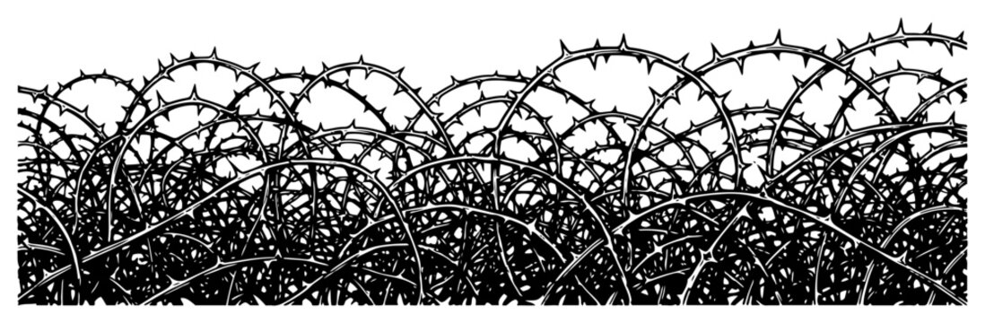 Dense thicket of thorny brambles and briar branches in detailed black and white silhouette style