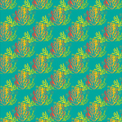 Obraz premium marine pattern, corals, shells,