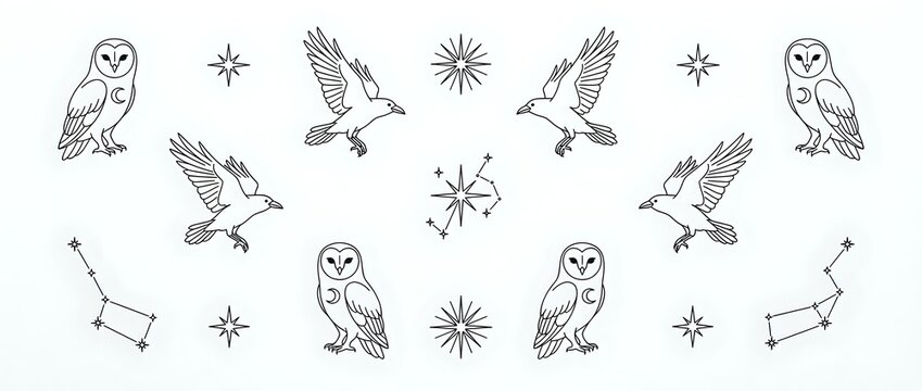 Mystical owls and eagles pattern with celestial stars and constellations on white background. Isolated design elements for apparel and home decor projects.