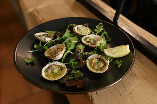 Praires shell served on greens with garlic butter elegant gourmet plate