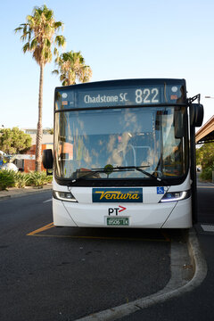Front view of a stopped Ventura operated bus, a Scania K320UB, outside Sandringham Station on route 822, with palm trees in the background
