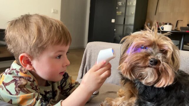 Child measuring dog&rsquo;s temperature with electronic thermometer. Concept of pet care, childhood, empathy and playful home interaction with animals.