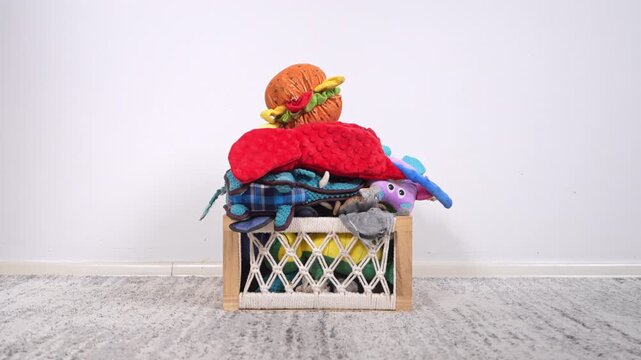 A black dachshund stands next to a wooden basket overflowing with colorful plush toys, sniffing them with an indifferent expression, creating a funny household concept depicting a picky pet.