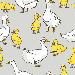 Fototapeta premium White ducks or geese next to yellow ducklings or goslings
