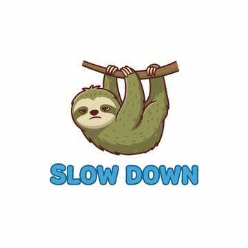 Sloth hanging from a branch slowly.