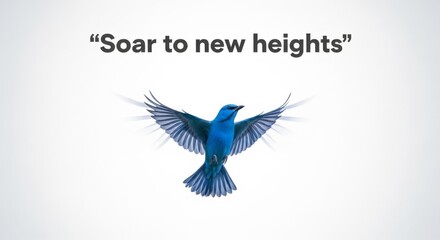 Fototapeta premium Vibrant Blue Bird Soaring with Wings Extended