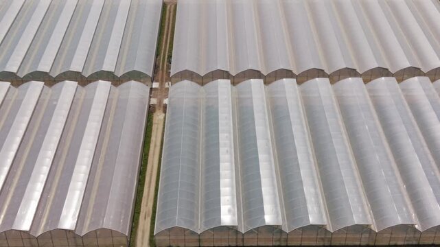 Greenhouse pattern drone view