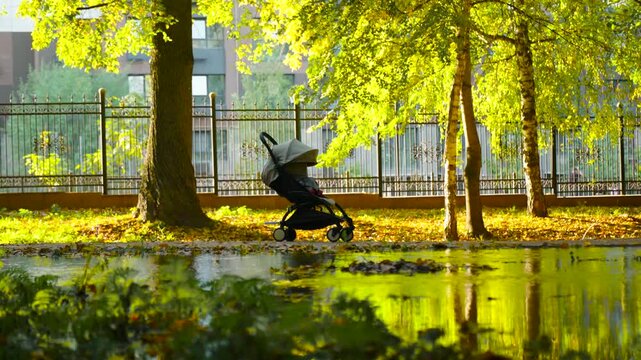 Baby Stroller in Autumn Park Parenting Lifestyle Scene