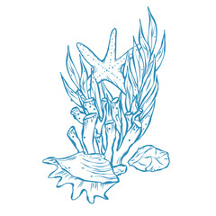 Vector illustration with a marine theme. Underwater world, seaside vacation in blue. Cute seaweeds and coral in doodle. © DafnaWii
