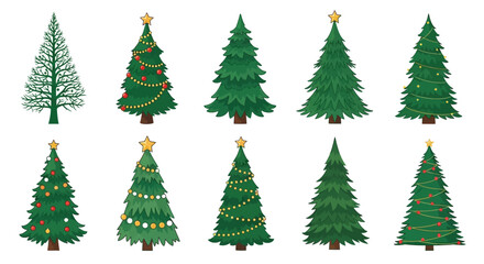 Fototapeta premium Different Christmas tree set. PNG Variety of illustrated evergreen trees, element set on transparent background