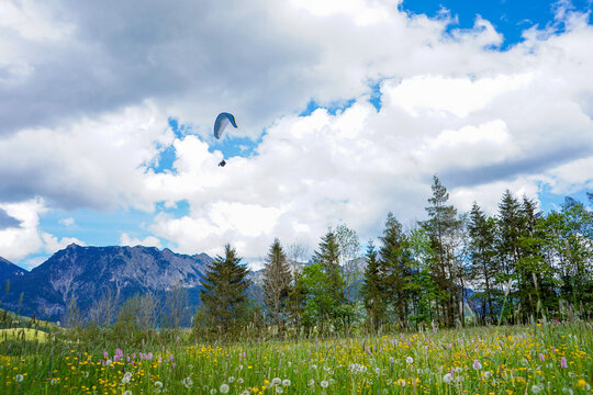 Paraglider &uuml;ber bl&uuml;hender Alpenwiese im Tannheimer Tal mit beeindruckendem Bergpanorama
