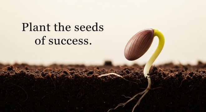 New Plant Sprouting from Rich Soil